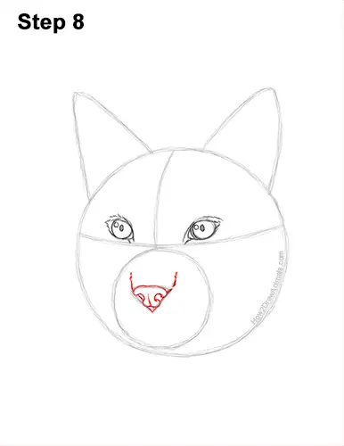 How to Draw a Lynx Bobcat Head Face Portrait 8