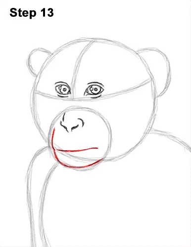 How to Draw a Rhesus Macaque Monkey Sitting 13