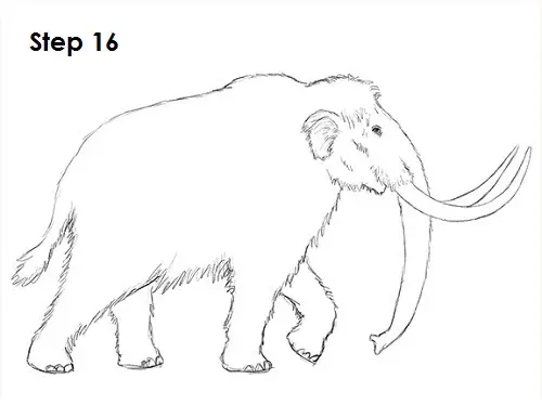 Draw a Mammoth 16