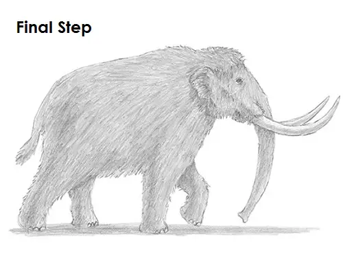 Draw a Mammoth