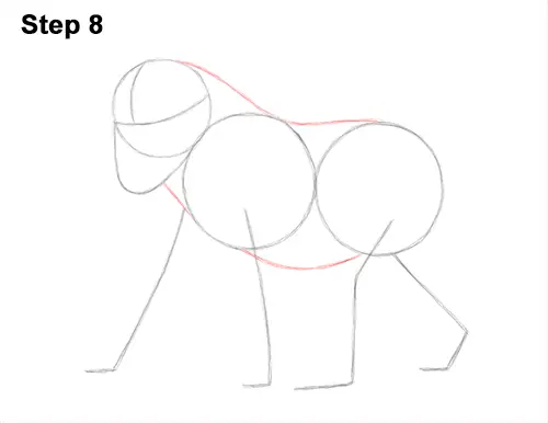 How to Draw Male Mandrill Baboon Monkey Walking 8