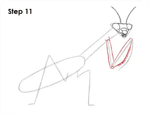 How To Draw A Praying Mantis