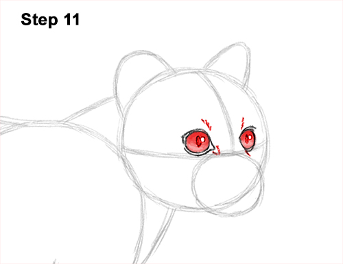 How to Draw a Margay Wild Cat 11