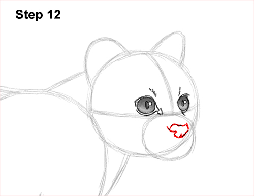 How to Draw a Margay Wild Cat 12