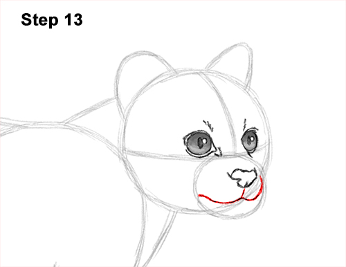 How to Draw a Margay Wild Cat 13