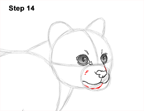 How to Draw a Margay Wild Cat 14