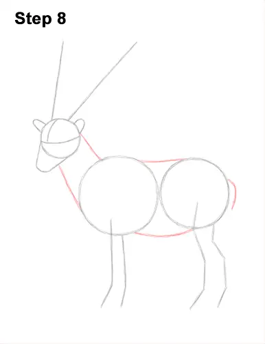 How to Draw a Bukharan Markhor Male Side View 8