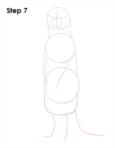 Draw Meerkat 7