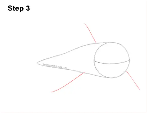 How to Draw a Megalodon Shark Open Mouth 3