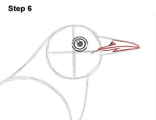 How to Draw a Northern Mockingbird Bird on Branch Side View 6