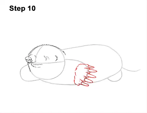 How to Draw a Common European Mole Side 10