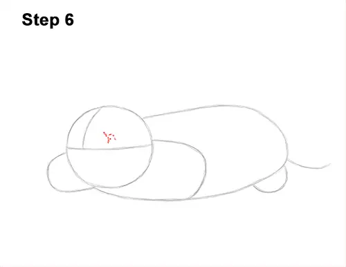 How to Draw a Common European Mole Side 6