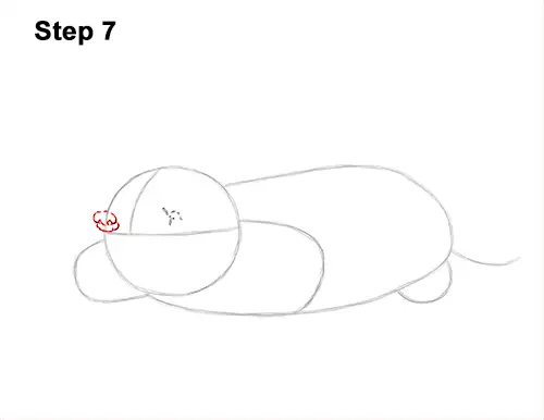 How to Draw a Common European Mole Side 7