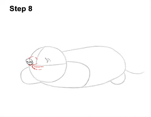 How to Draw a Common European Mole Side 8