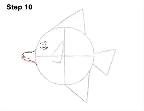 How to Draw a Tropical Fish