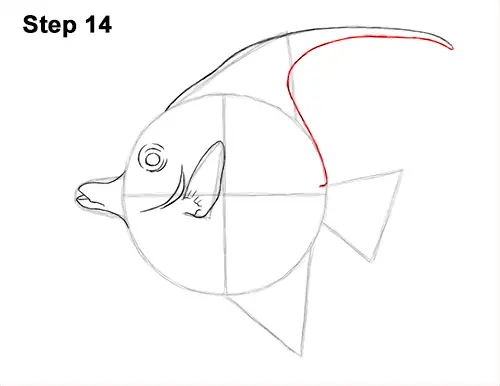 How to Draw Moorish Idol Fish 14