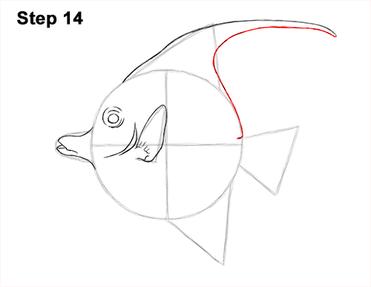 How to Draw a Tropical Fish