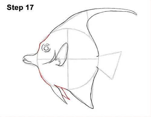 How to Draw Moorish Idol Fish 17