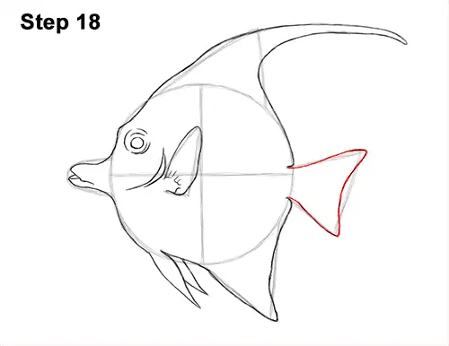 How to Draw Moorish Idol Fish 18
