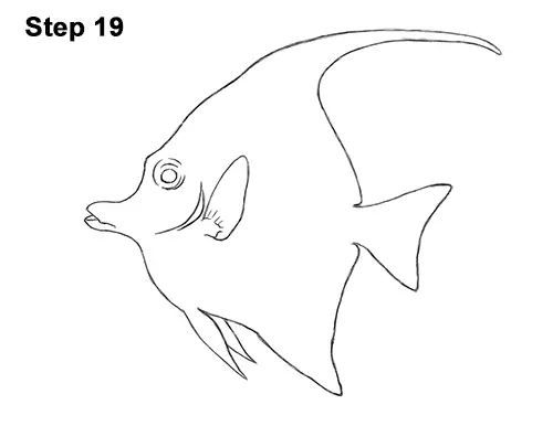 How to Draw Moorish Idol Fish 19