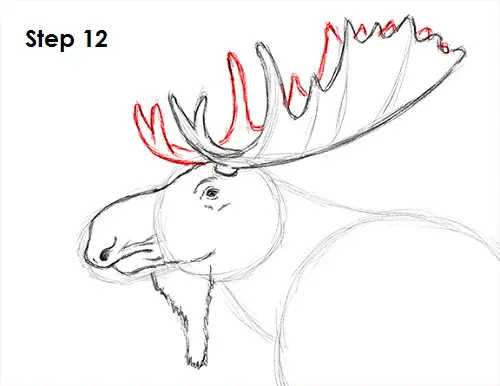 Featured image of post Moose Head Drawing Moose head illustrations and clipart 2 104