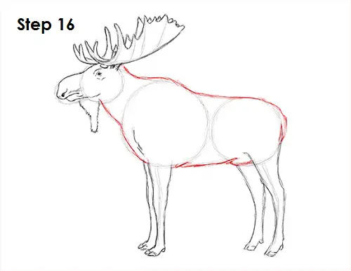 Draw Moose 16