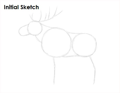 Draw Moose Sketch