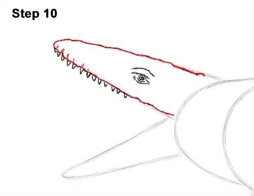 Draw Mosasaurus Dinosaur Jurassic 10