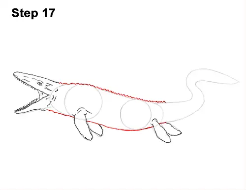 Draw Mosasaurus Dinosaur Jurassic 17
