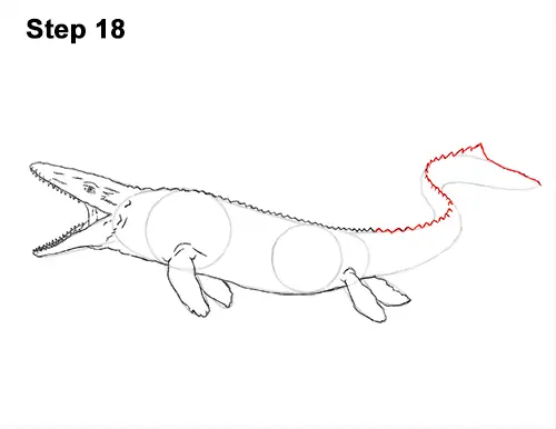Draw Mosasaurus Dinosaur Jurassic 18