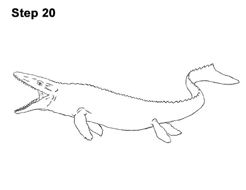 Draw Mosasaurus Dinosaur Jurassic 20