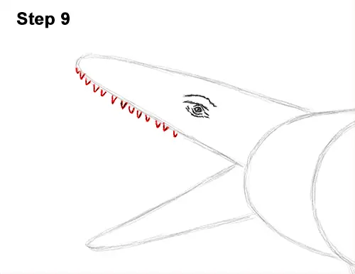 Draw Mosasaurus Dinosaur Jurassic 9