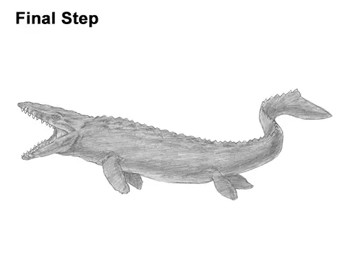 Draw Mosasaurus Dinosaur Jurassic