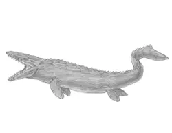 How to Draw a Mosasaurus Dinosaur Jurassic