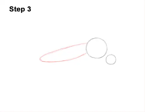 How to Draw a Mosquito Insect 3