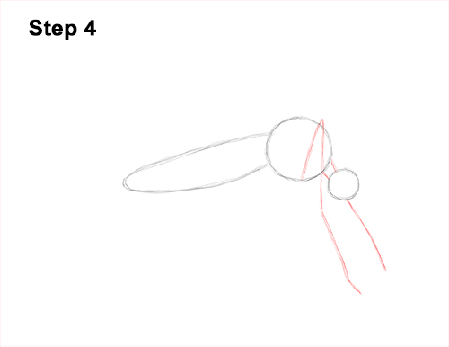 How to Draw a Mosquito Insect 4