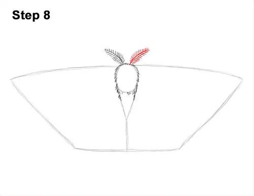 How to Draw an Emperor Moth Wings Insect 8