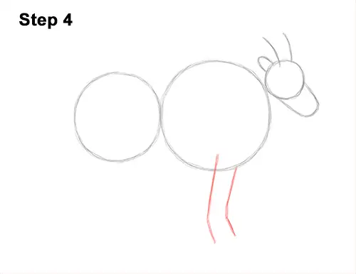 How to Draw a Mountain Goat VIDEO & Step-by-Step Pictures