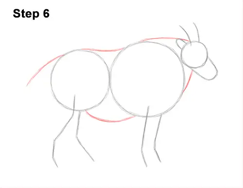 How to Draw a White Rocky Moutain Goat 6