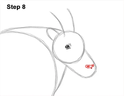 How to Draw a White Rocky Moutain Goat 8