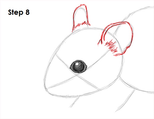 Draw Mouse 8