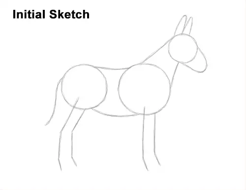 How to Draw a Mule Horse Donkey Side View Guide Lines