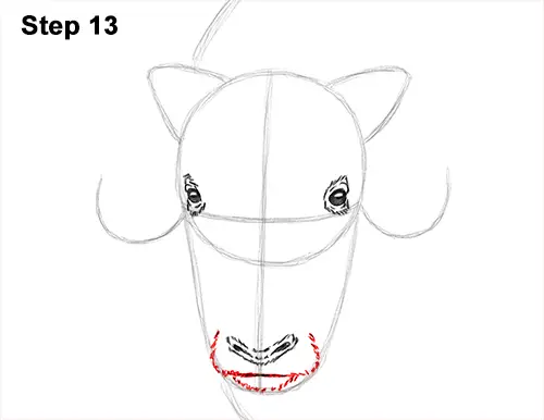 How to Draw Musk Ox Standing Horns 13