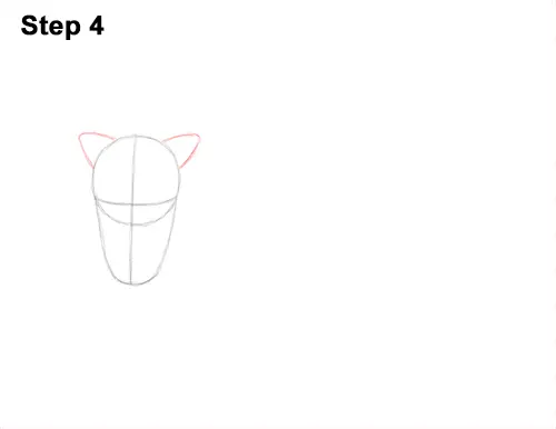 How to Draw Musk Ox Standing Horns 4