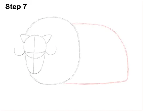 How to Draw Musk Ox Standing Horns 7