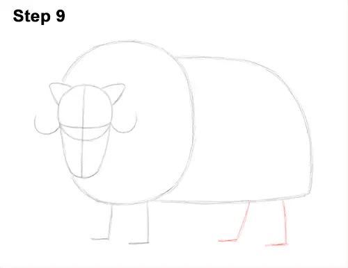 How to Draw Musk Ox Standing Horns 9