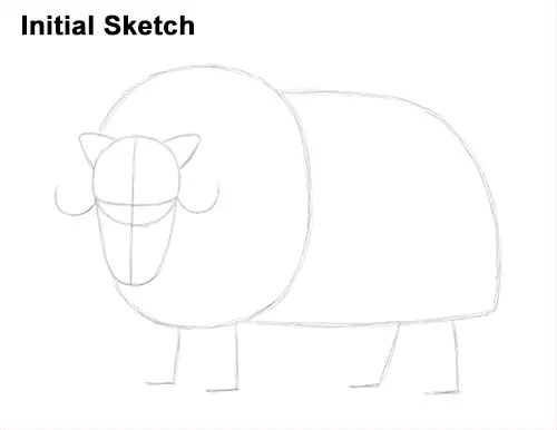 How to Draw Musk Ox Standing Horns Initial Sketch