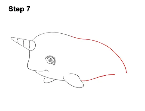 How to Draw a Cute Cartoon Narwhal Chibi Kawaii 7