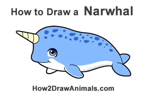 How To Draw A Narwhal Cartoon Video Step By Step Pictures