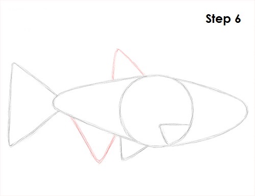 Draw Neon Tetra Fish 6